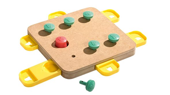 Hunde-Intelligenzspielzeug-Level-5