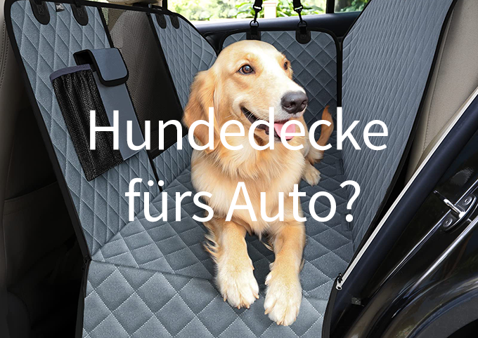 Autoschondecke-Hunde
