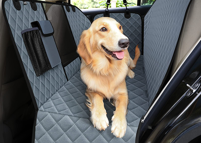 Autoschondecke Hunde