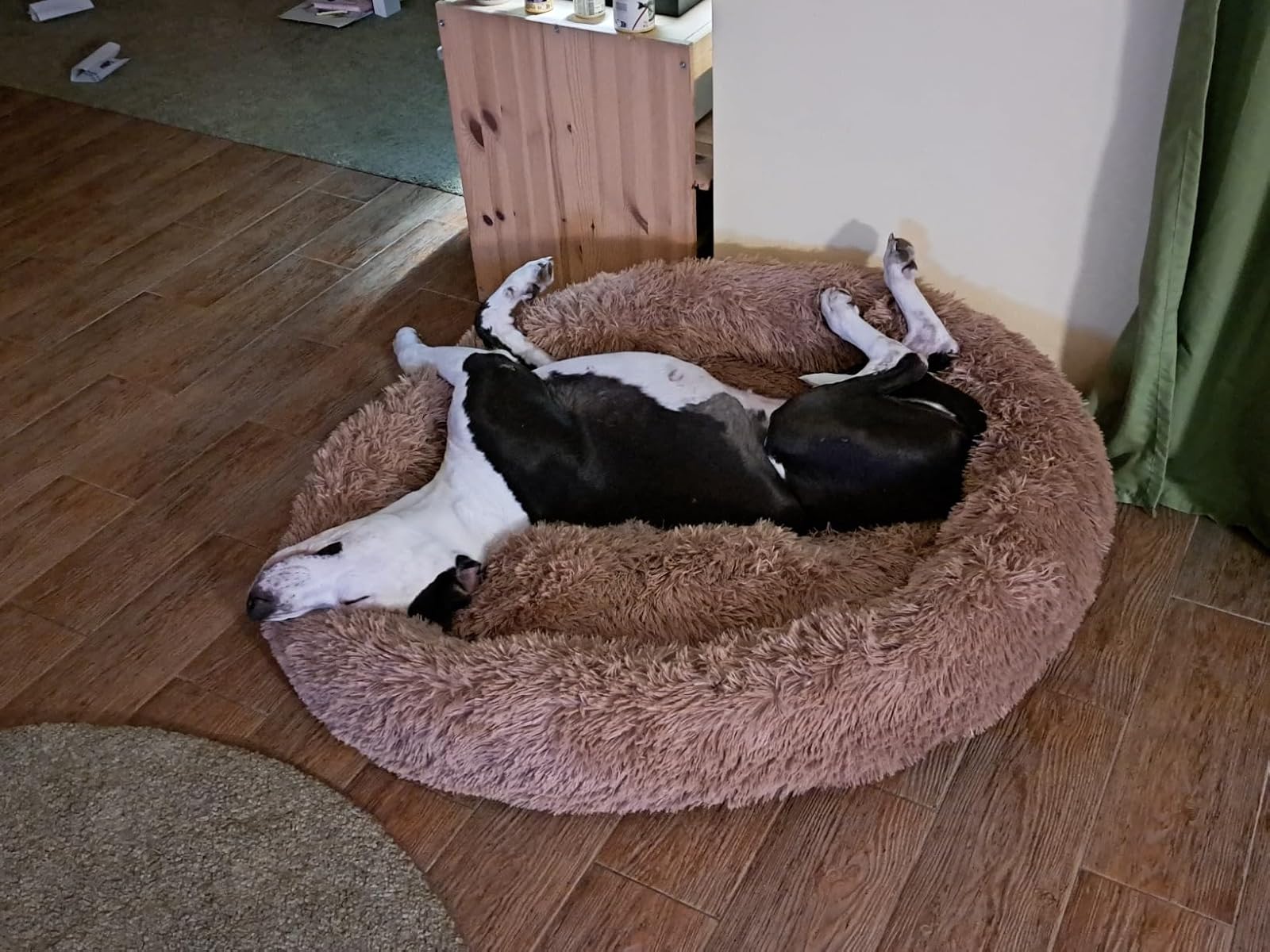 Wolke 7 Hundebett Original – waschbares Hundekissen, Hundekorb, Flauschiges Hundebett für große, mittelgroße & kleine Hunde