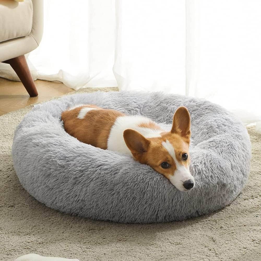 Orthopdisches Hundebett Wolke 7  Kuscheliges Hundekissen Mit Waschbarem  Bezug Fr Alle Gren