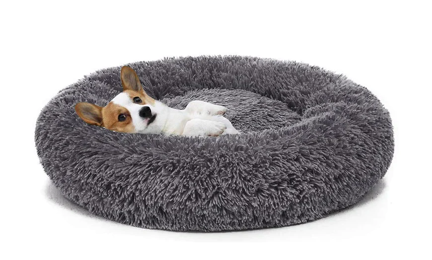Ist ein Anti Angst-Hundebett sinnvoll?