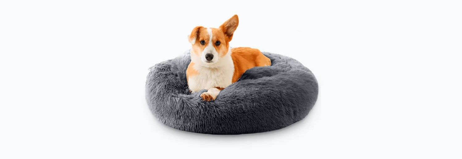 Wolke 7 Hundebett waschen: Was ist erlaubt