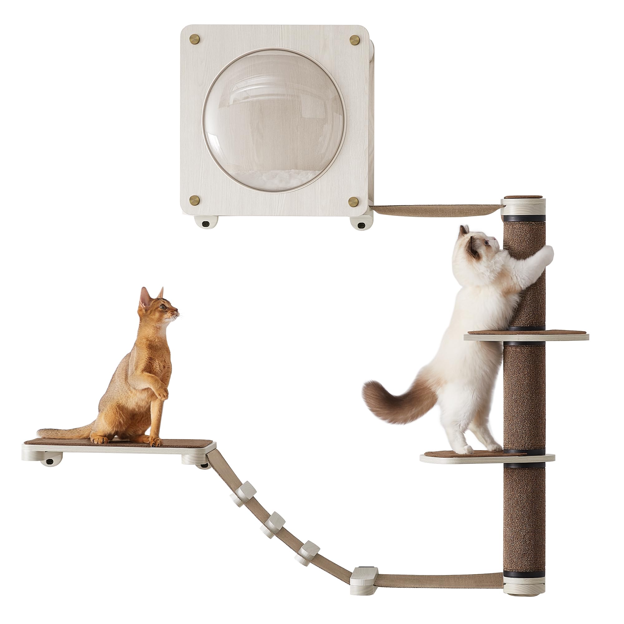 Feandrea Clickat Oasis – Kletterwand Katzen, 5er Set, extrem schnelle Montage, unbegrenzt erweiterbar, austauschbare Module und Teile, Katzenmöbel, Katzenbrett, Hängematte, Kratzstamm, Katzenhöhle